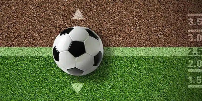 Những điểm nổi trội của đơn vị