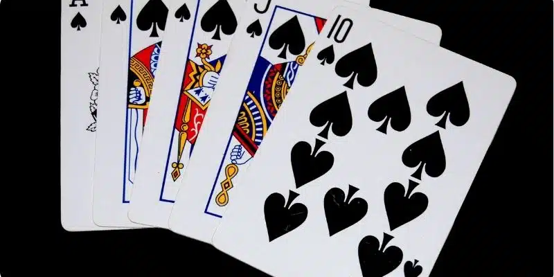 Tìm hiểu câu trả lời 5 đôi thông có chặt được 3 heo không