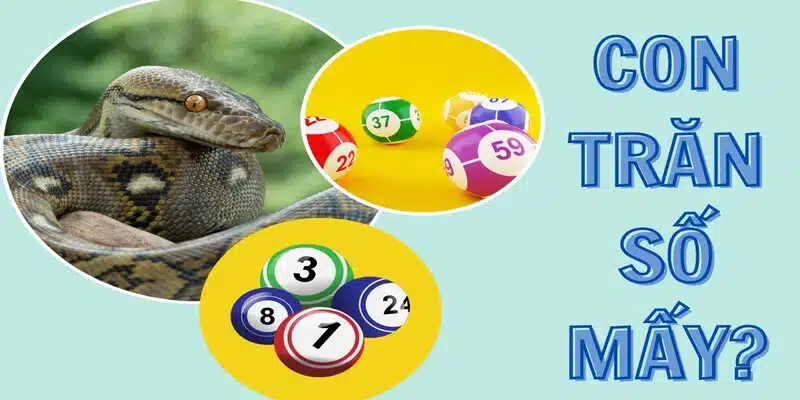 Nằm mơ thấy trăn đánh số gì thử ngay 32 và 72