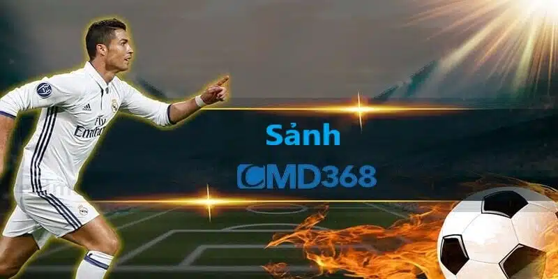 Những sản phẩm nổi bật tại sảnh cá cược thể thao